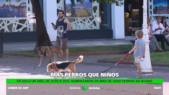 más perros que niños más perros que niños