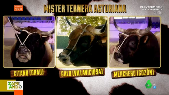 Ganador de Míster Ternera Asturiana 2022 Ganador de Míster Ternera Asturiana 2022