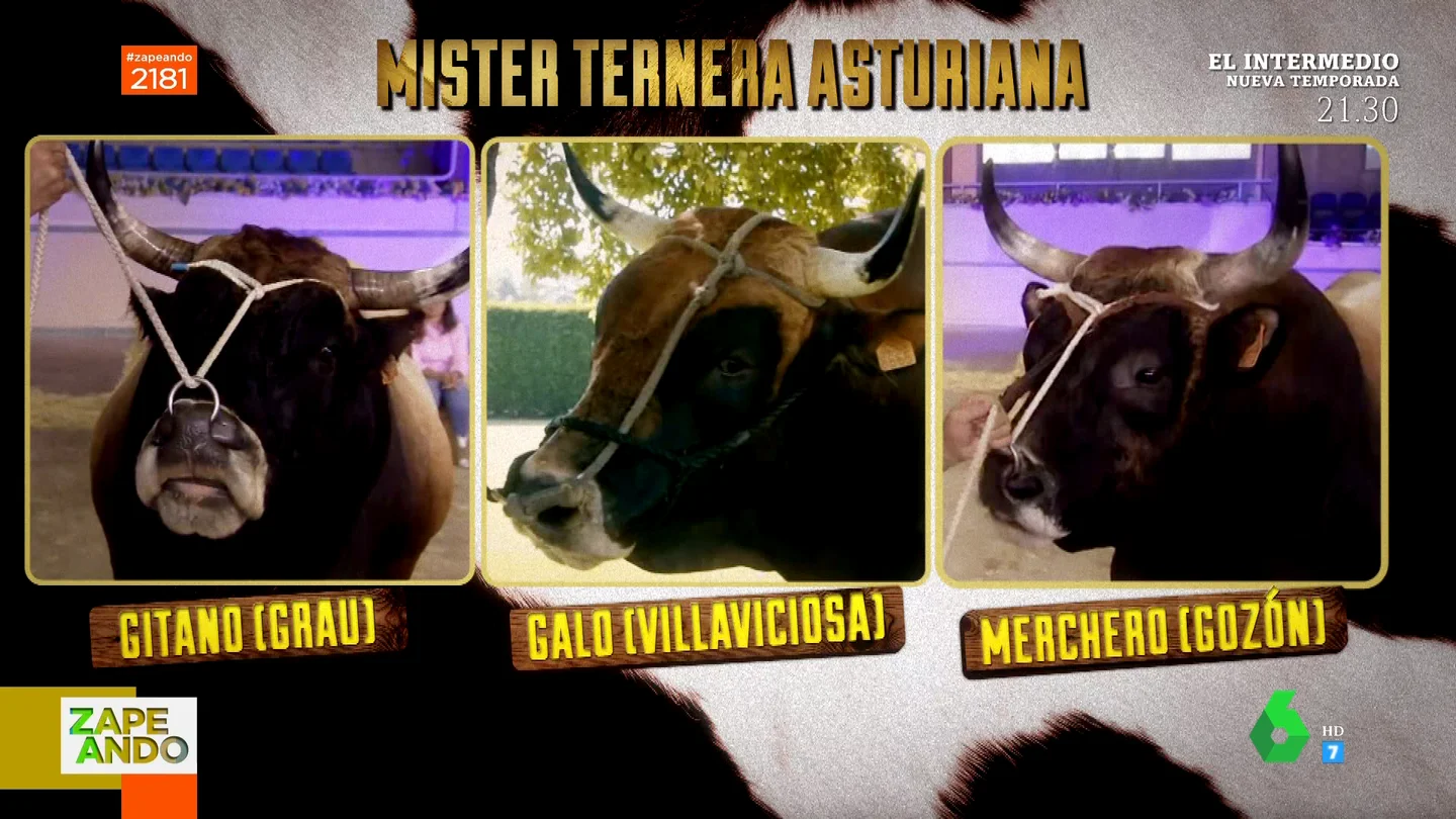 Ganador de Míster Ternera Asturiana 2022 Ganador de Míster Ternera Asturiana 2022