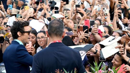 Harry Styles en el Festival de Venecia