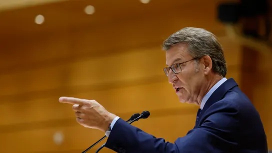 El líder del PP, Alberto Núñez Feijóo, en el Senado El líder del PP, Alberto Núñez Feijóo, en el Senado