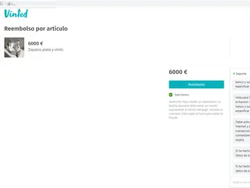 Fraude en Vinted Fraude en Vinted