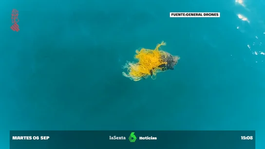 dron tortuga dron tortuga