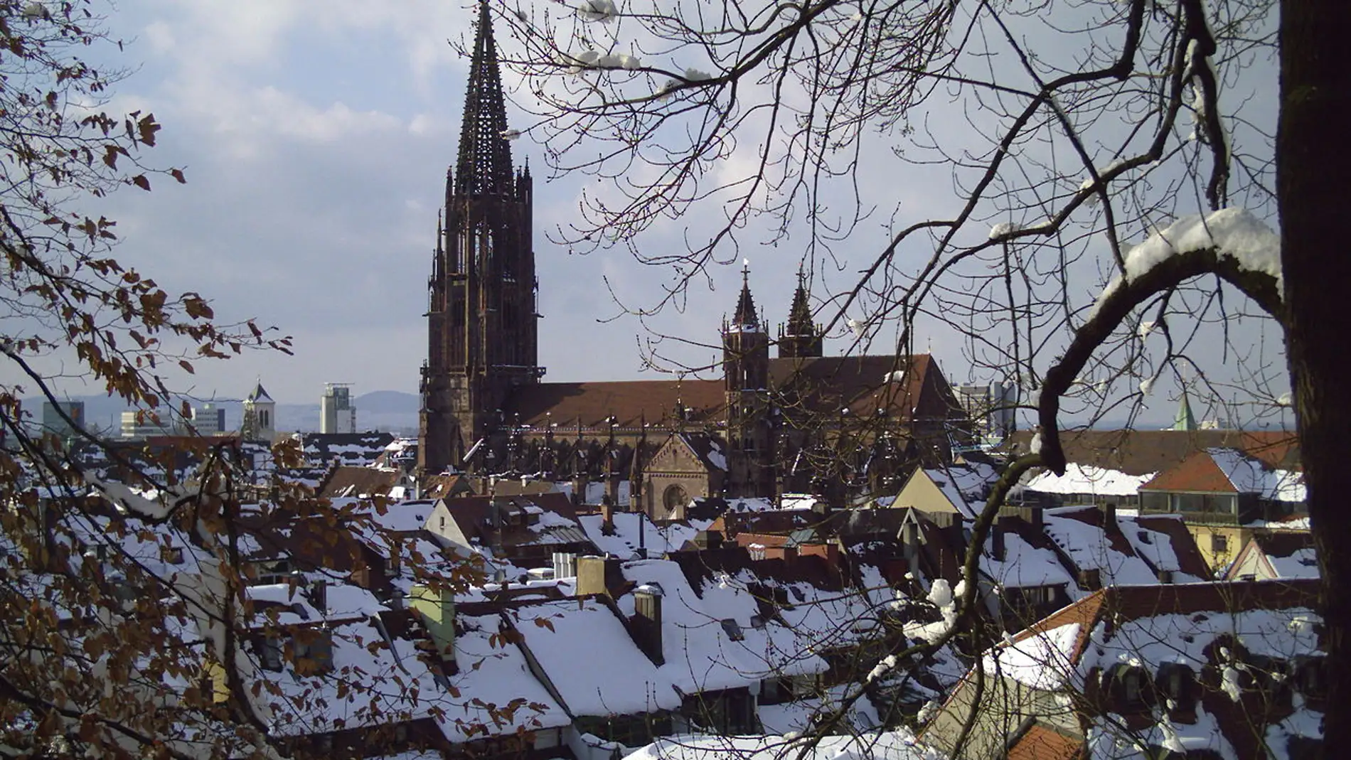 Catedral de Friburgo de Brisgovia: historia y datos curiosos que te sorprenderán