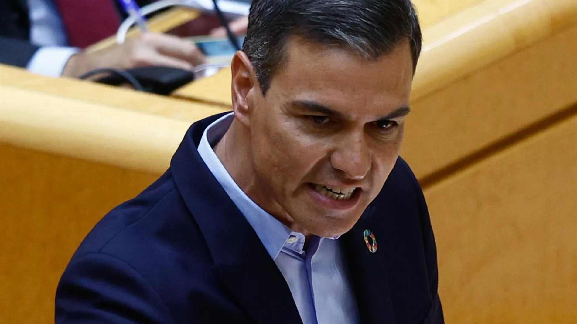  El presidente del Gobierno, Pedro Sánchez, interviene en el pleno del Senado