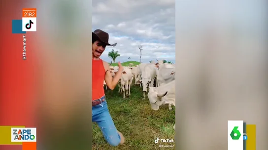 Vídeo viral de un granjero esquivando cornadas de vaca Vídeo viral de un granjero esquivando cornadas de vaca