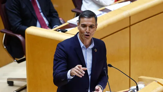 Pedro Sánchez, durante su comparecencia en el Senado Pedro Sánchez, durante su comparecencia en el Senado