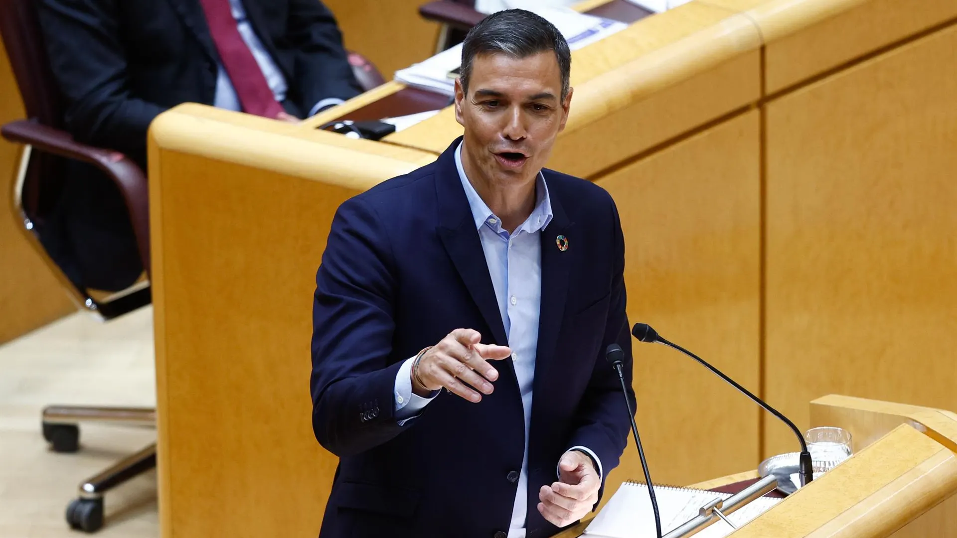 Pedro Sánchez, durante su comparecencia en el Senado