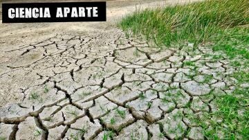 Sequía provocada por el cambio climático
