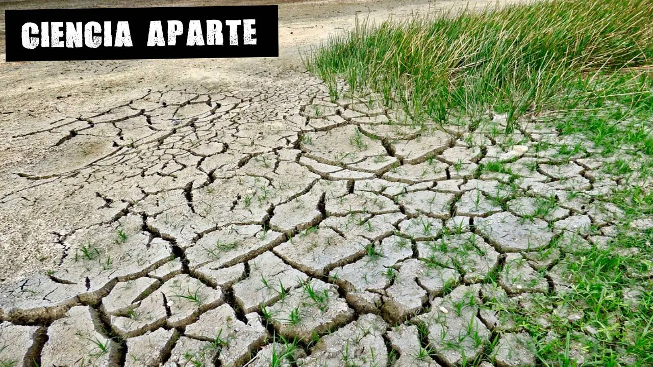 Sequía provocada por el cambio climático Sequía provocada por el cambio climático
