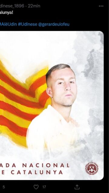 Tweet borrado del Udinese