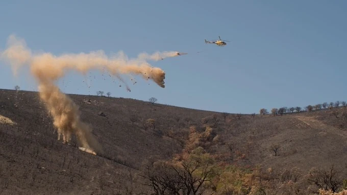 Helimulching tras los incendios: cómo lanzar paja ayuda a proteger el suelo después del fuego