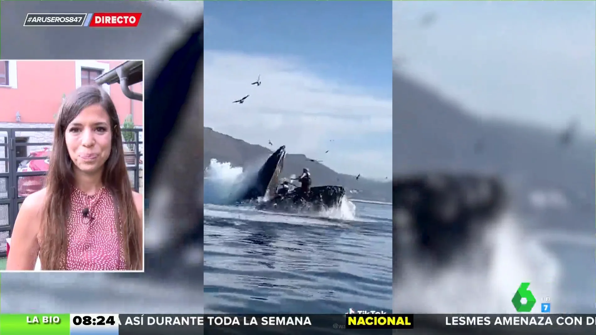 Terrorífico vídeo viral: una ballena jorobada engulle a dos mujeres y después las escupe