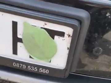 Imán con forma de hojas para evitar las multas de tráfico Imán con forma de hojas para evitar las multas de tráfico