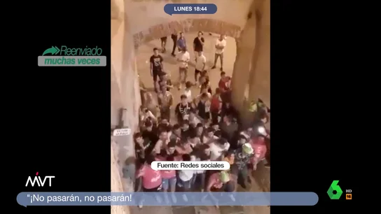 TOROS JHOVENES TOROS JHOVENES