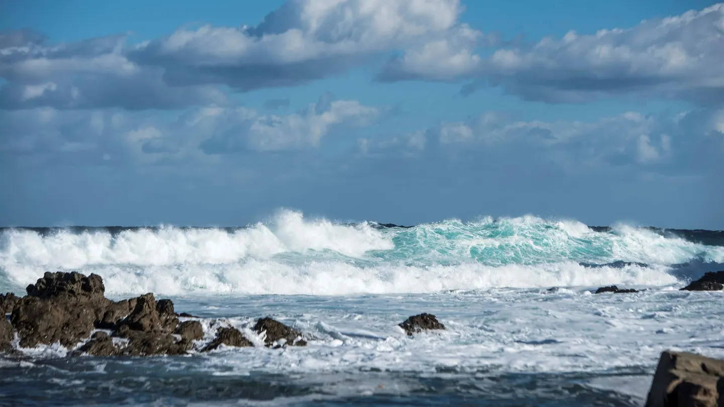 El agua del Mediterráneo marca récords históricos de temperatura este verano El agua del Mediterráneo marca récords históricos de temperatura este verano