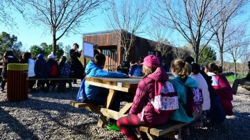 Los educadores ambientales defienden la enseñanza al aire libre