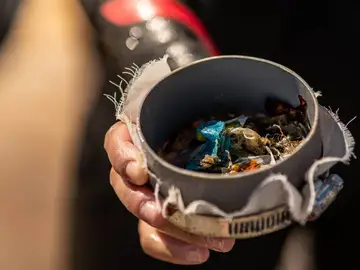 La degradacion del plastico en el oceano contribuye a su acidificacion La degradacion del plastico en el oceano contribuye a su acidificacion