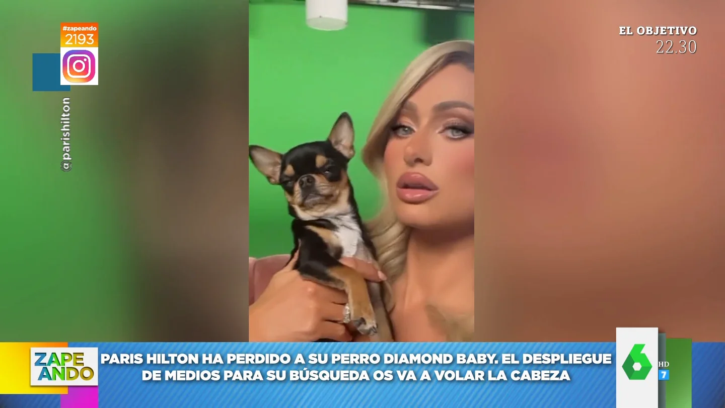 Paris Hilton pierde a su perro Diamond Baby Paris Hilton pierde a su perro Diamond Baby