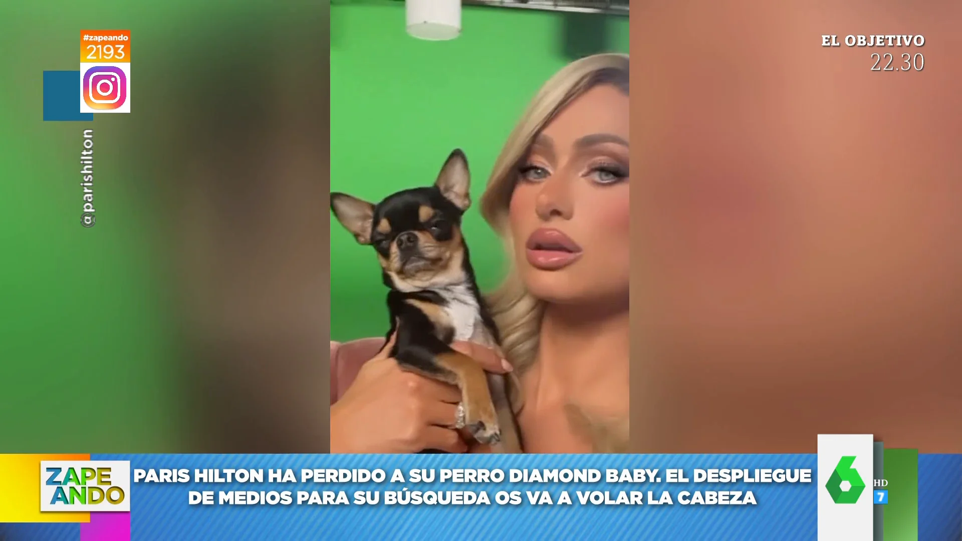 Paris Hilton pierde a su perro Diamond Baby