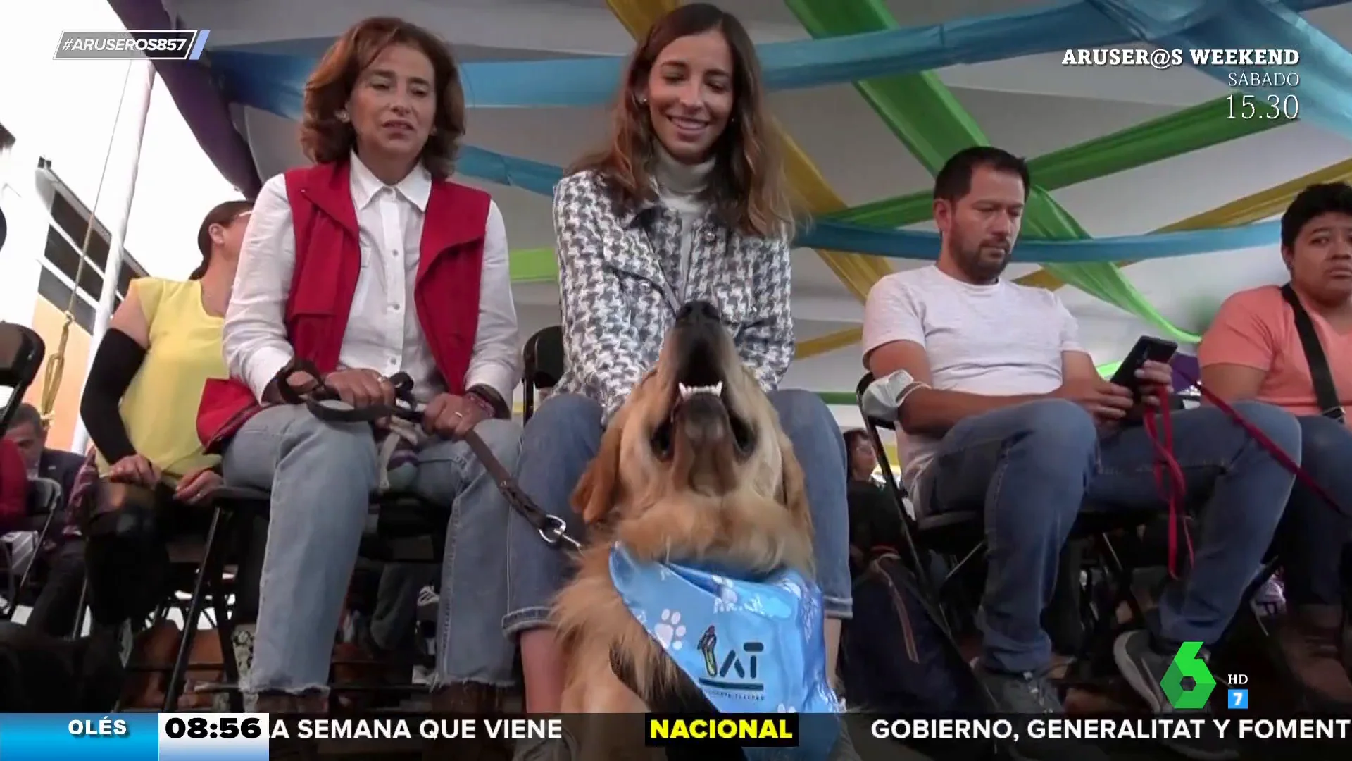 Unos perros celebran su graduación en rescate: "Seguro que hay alguna asignatura 'hueso'"