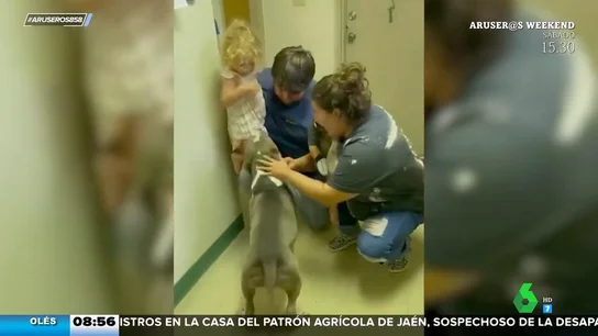El emotivo momento en el que un cachorro se reúne con su familia tras un año separados El emotivo momento en el que un cachorro se reúne con su familia tras un año separados