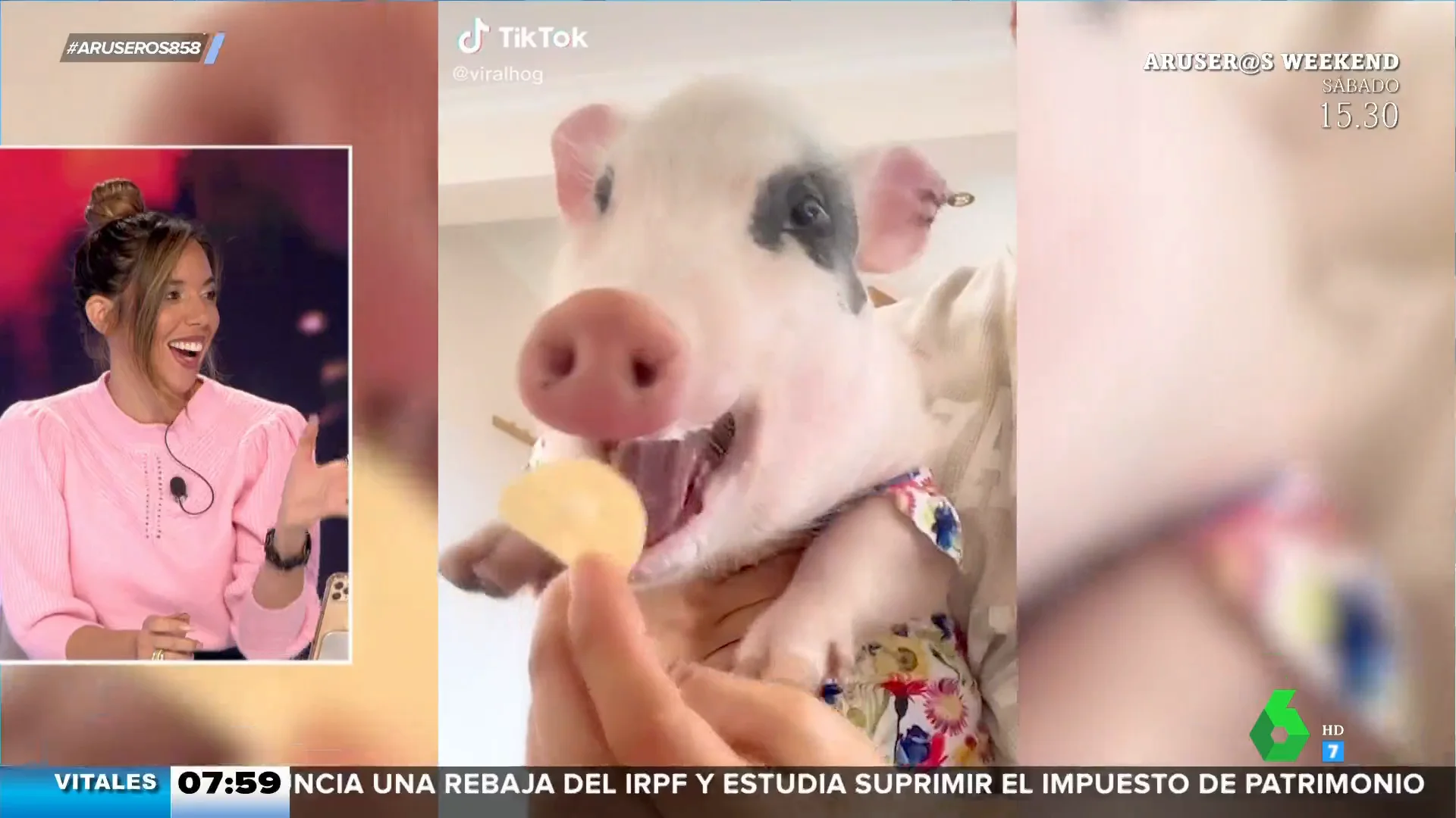 La divertida reacción de una cerdita cuando come patatas con la que los aruseros se sienten identificados