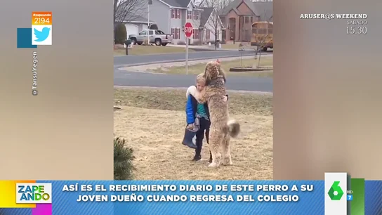 El emotivo vídeo viral del abrazo diario de un niño y su perro cuando llega del colegio que enamora a las redes El emotivo vídeo viral del abrazo diario de un niño y su perro cuando llega del colegio que enamora a las redes