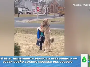 El emotivo vídeo viral del abrazo diario de un niño y su perro cuando llega del colegio que enamora a las redes