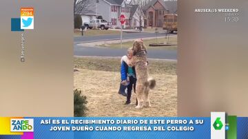 El emotivo vídeo viral del abrazo diario de un niño y su perro cuando llega del colegio que enamora a las redes