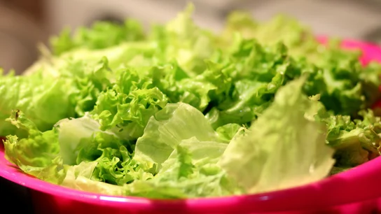 Imagen de archivo de una lechuga. ¿Cómo evitar que la lechuga se ponga mala?