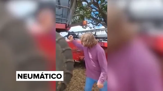 El imbécil de la semana El imbécil de la semana
