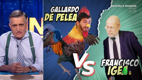 gallardo de pelea gallardo de pelea