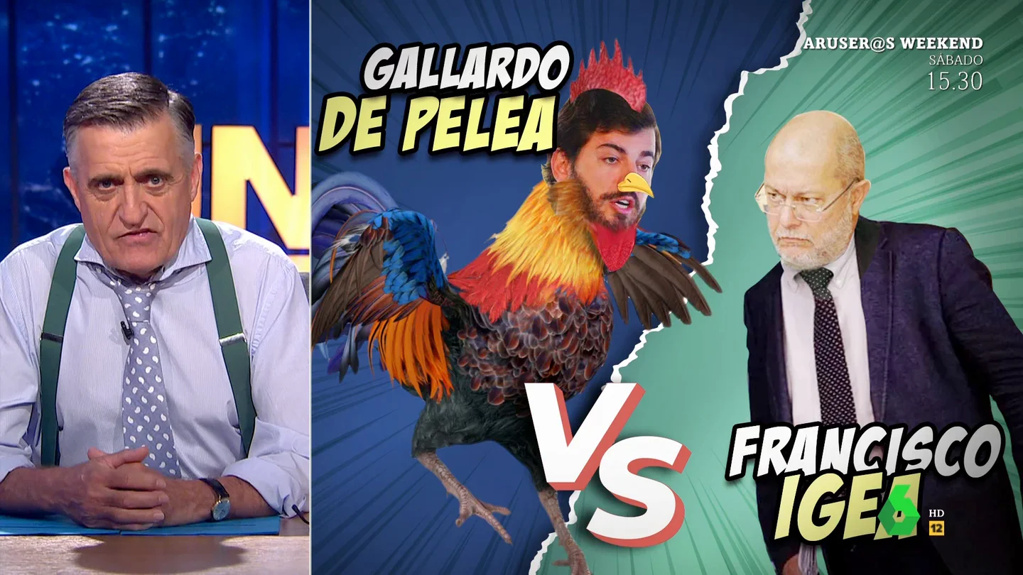 gallardo de pelea gallardo de pelea