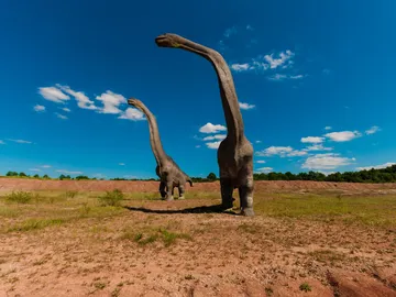 Dinosaurios Dinosaurios