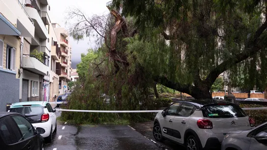 'Hermine' deja un centenar de incidencias, cancelaciones de vuelos e inundaciones tras descargar 165 litros/m2 en Canarias 'Hermine' deja un centenar de incidencias, cancelaciones de vuelos e inundaciones tras descargar 165 litros/m2 en Canarias