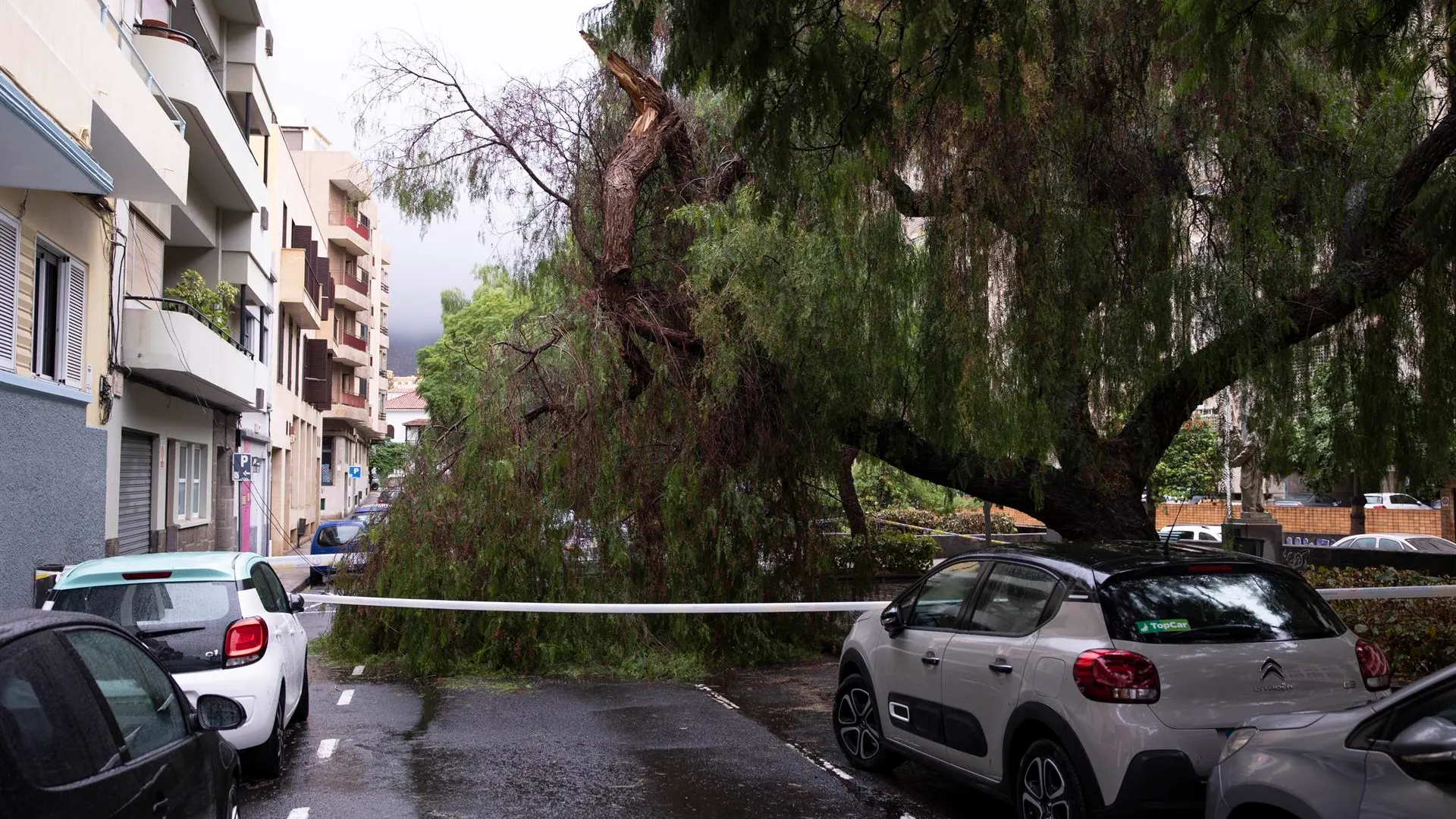 'Hermine' deja un centenar de incidencias, cancelaciones de vuelos e inundaciones tras descargar 165 litros/m2 en Canarias 