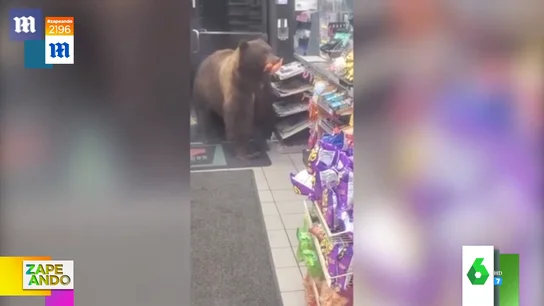 El susto de un hombre cuando un oso irrumpe en su tienda y le roba chucherías El susto de un hombre cuando un oso irrumpe en su tienda y le roba chucherías