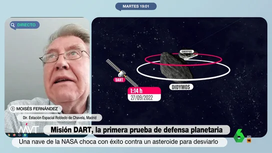 MOISES DART MOISES DART