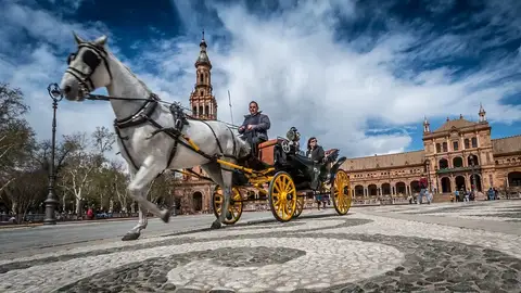 Coche de caballos. Sevilla Coche de caballos. Sevilla