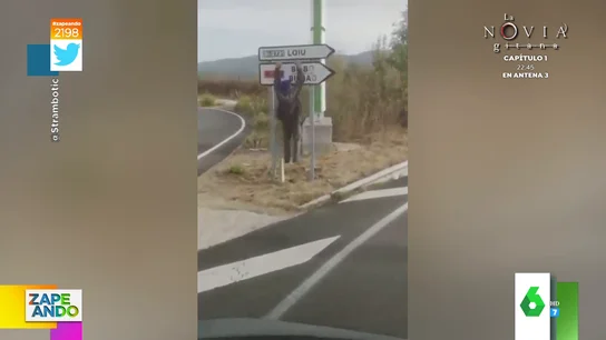 Así utiliza un hombre una señal de tráfico para hacer dominadas Así utiliza un hombre una señal de tráfico para hacer dominadas