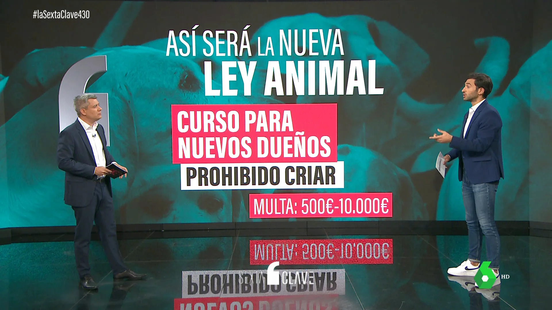 Tendrán que estar esterilizados, no podrán quedarse solos... claves de la nueva ley de protección animal