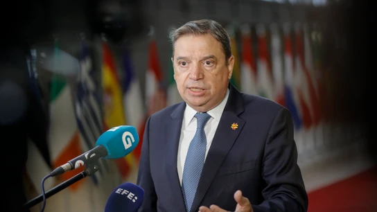 Luis Planas comparece ante los medios en Bruselas Luis Planas comparece ante los medios en Bruselas