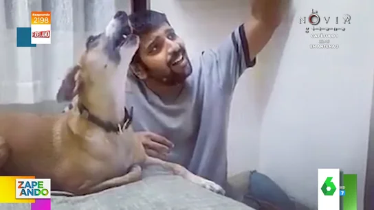 Así es el increíble quejío flamenco de un perro que conquista a las redes sociales Así es el increíble quejío flamenco de un perro que conquista a las redes sociales