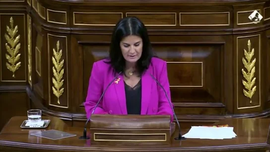 Nueva polémica de Vox: critica que las familias numerosas con empleada del hogar tengan que pagarles la cotización para el desempleo Nueva polémica de Vox: critica que las familias numerosas con empleada del hogar tengan que pagarles la cotización para el desempleo