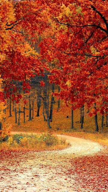 Oto&ntilde;o 2022: As&iacute; ser&aacute; la previsi&oacute;n meteorol&oacute;gica seg&uacute;n los expertos