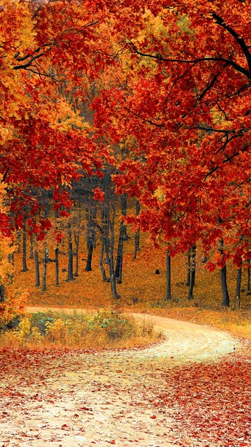 Otoño 2022: Así será la previsión meteorológica según los expertos Otoño 2022: Así será la previsión meteorológica según los expertos