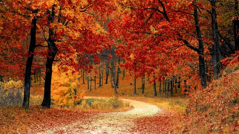 Otoño 2022: Así será la previsión meteorológica según los expertos Otoño 2022: Así será la previsión meteorológica según los expertos