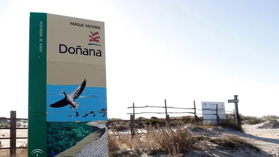 Alertan de la "dramática" situación y el colapso de Doñana: "Está completamente seca" Alertan de la "dramática" situación y el colapso de Doñana: "Está completamente seca"