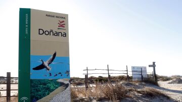 Alertan de la "dramática" situación y el colapso de Doñana: "Está completamente seca"